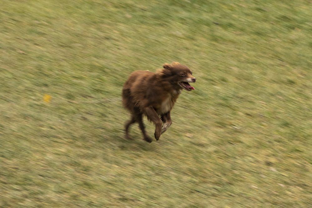 Photograph by Олег Башкуров