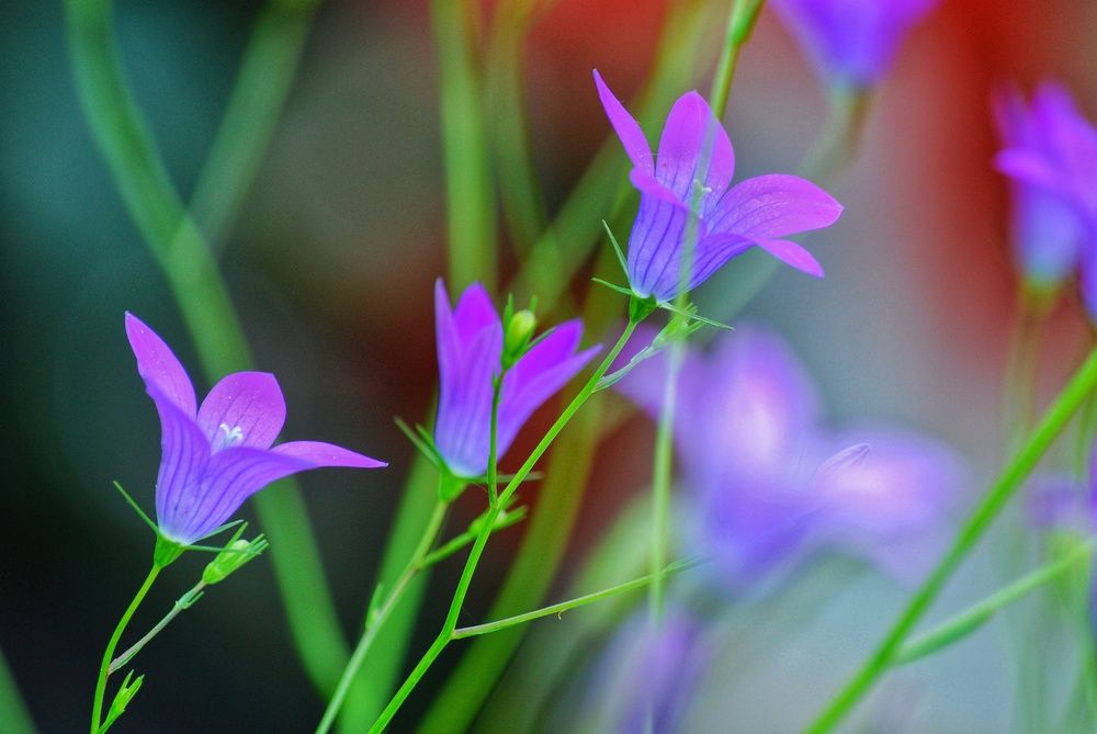 Photograph by Даниил Пузаков