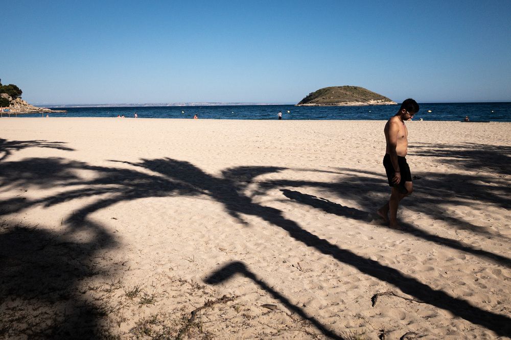 Between islands and palm trees