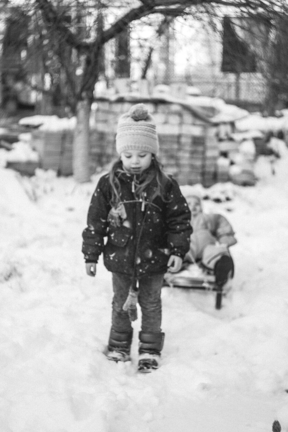 Photo #5576815
