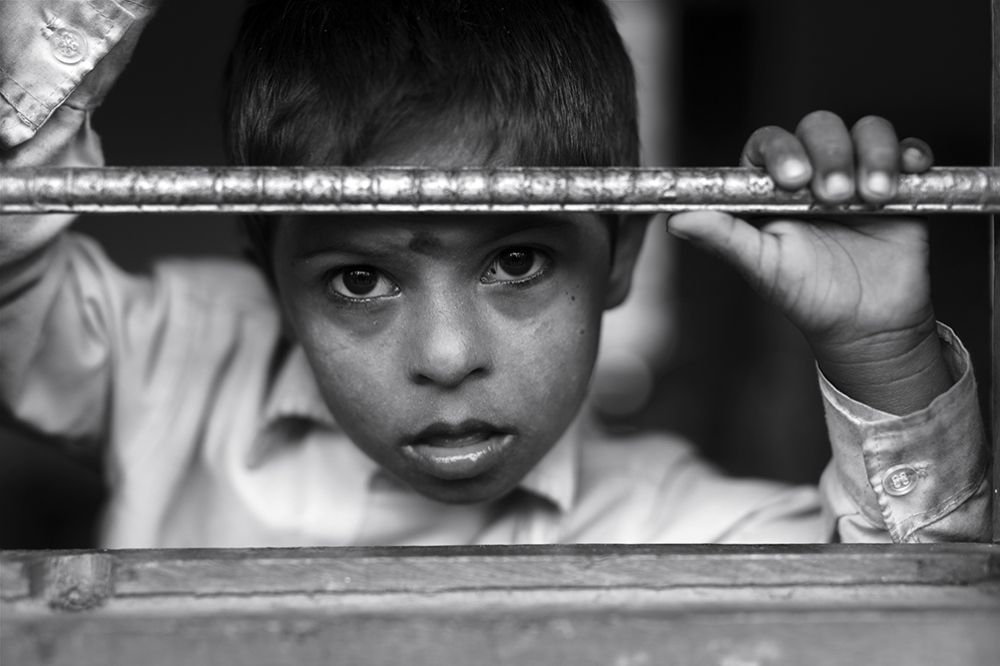 curious little friend