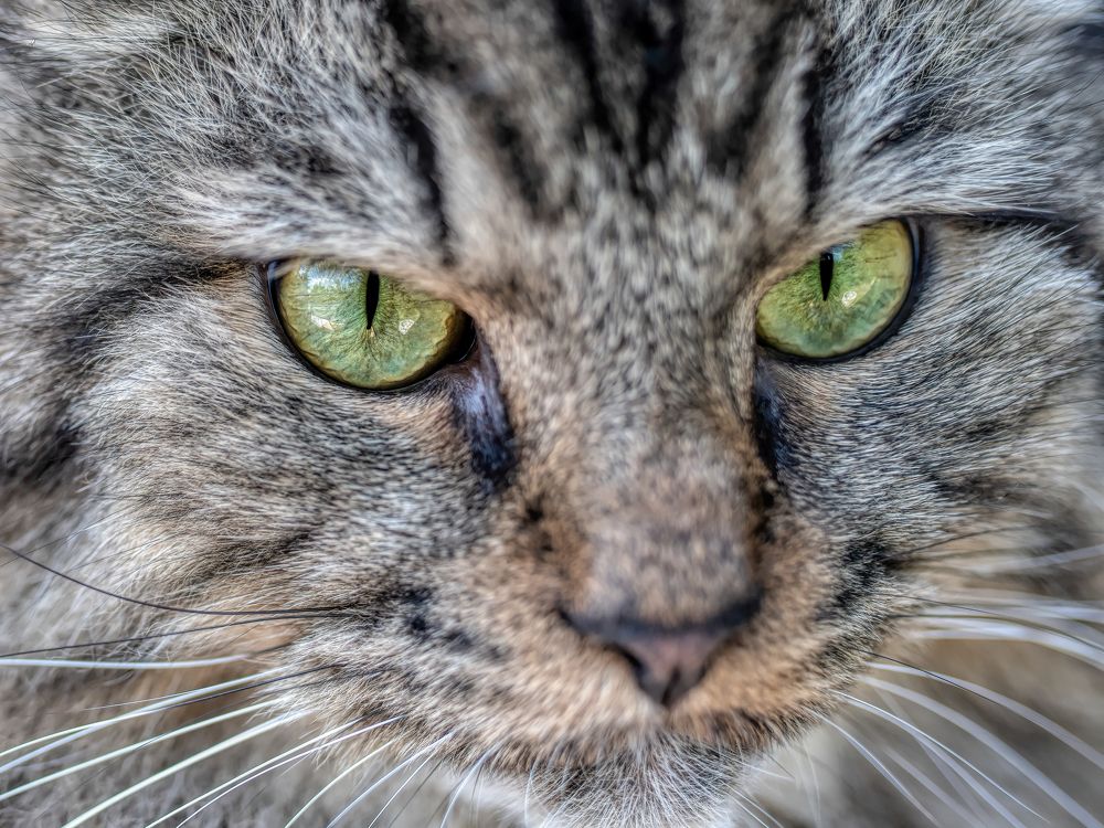 Photograph by Sara Jazbar