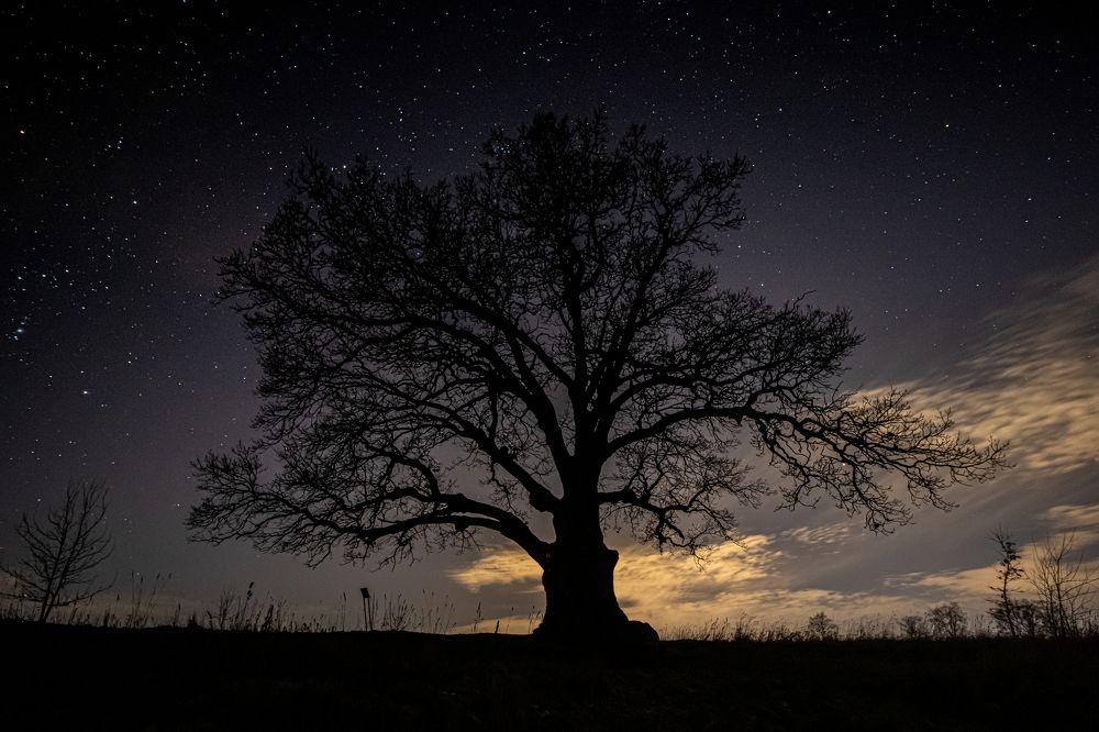 Photograph by Svetlana Dorokhova