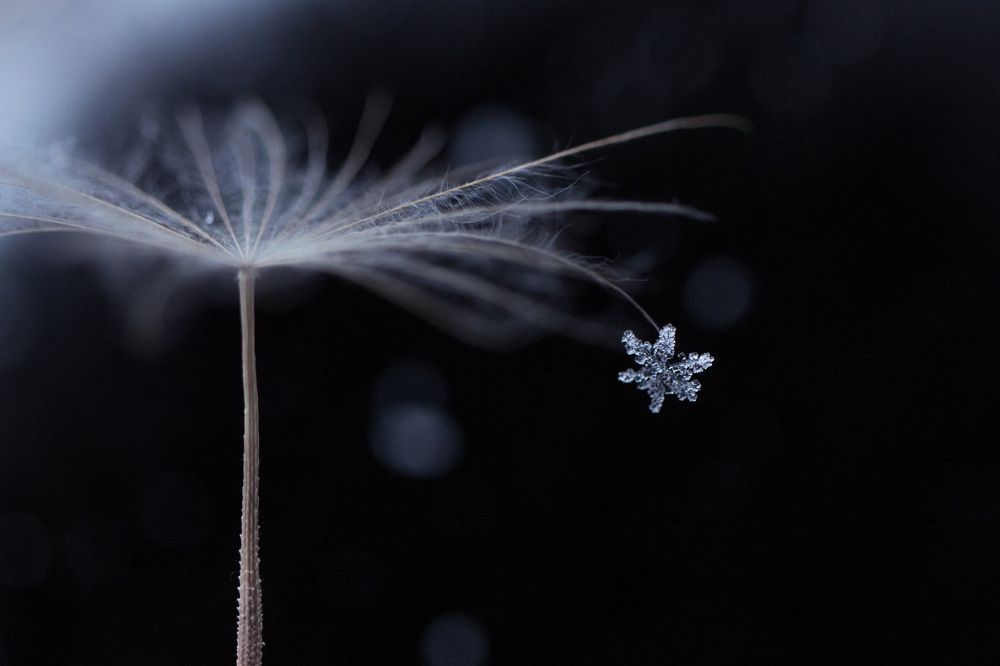 Фотография автора Александра Наливаева