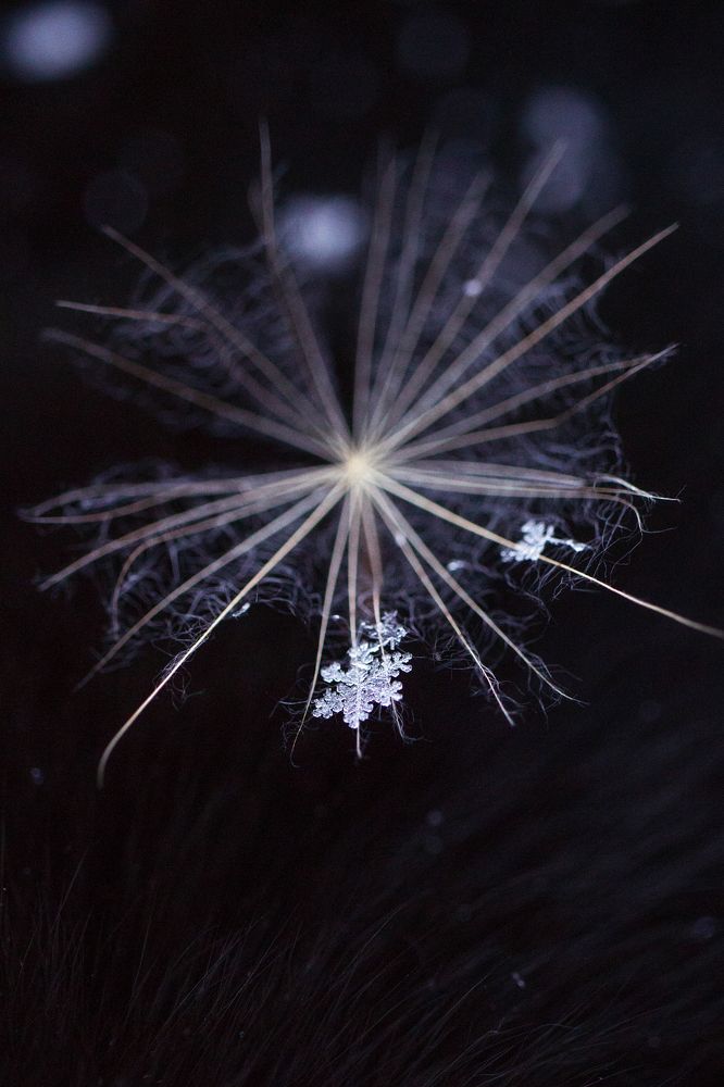 Фотография автора Александра Наливаева