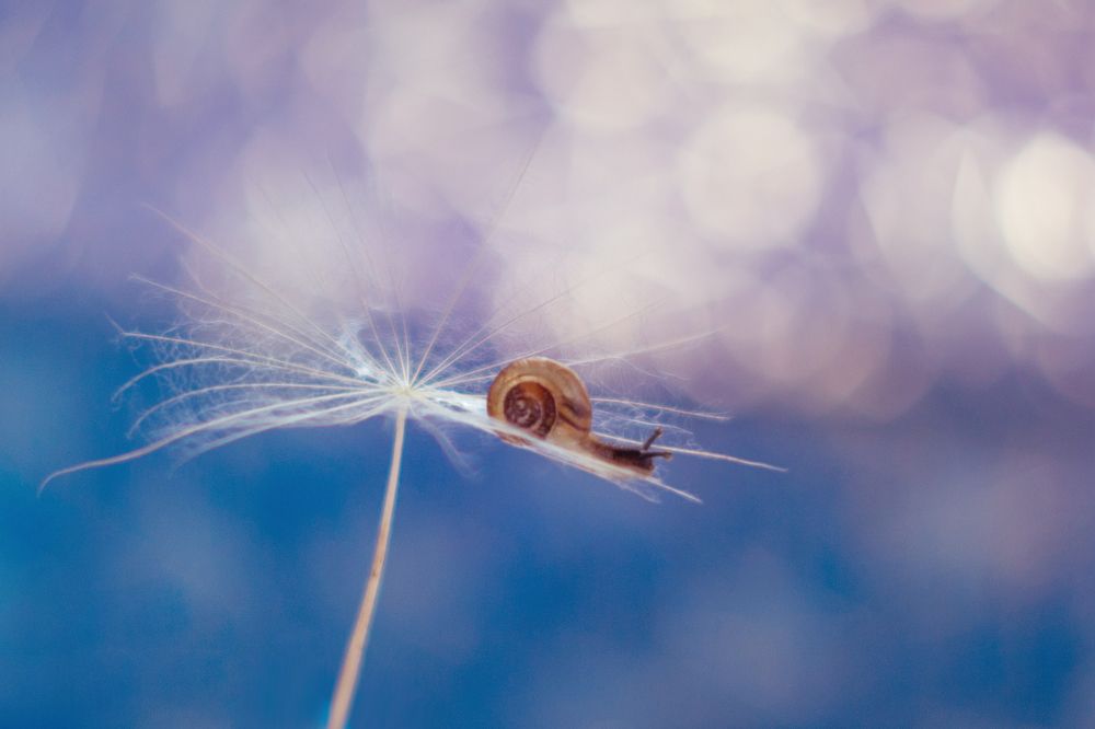 Фотография автора Александра Наливаева