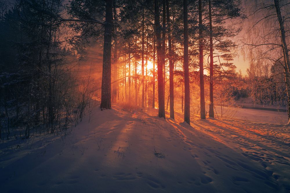 Photograph by Дмитрий