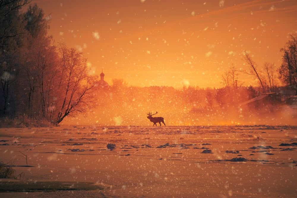 Photograph by Дмитрий