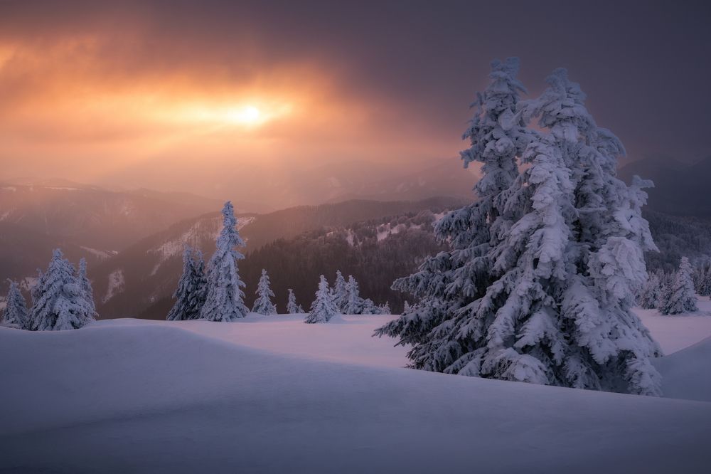 Photograph by Martin Šúrik