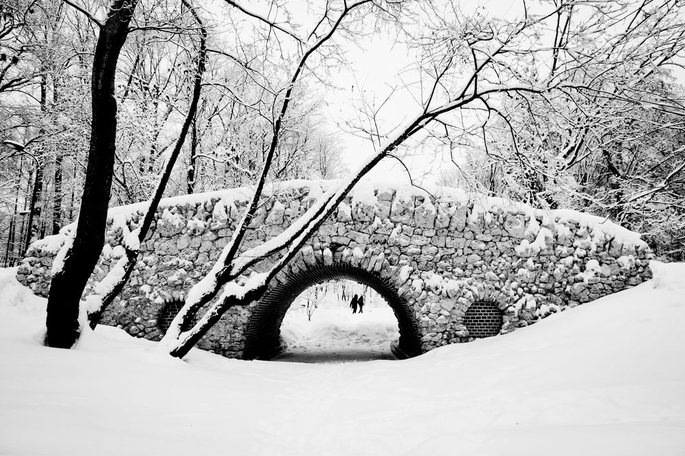 Photograph by Ольга Мендоса