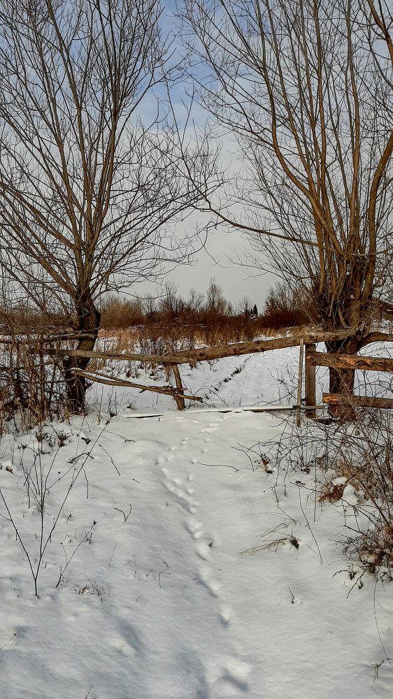 Фотография автора Зеновій Кулик