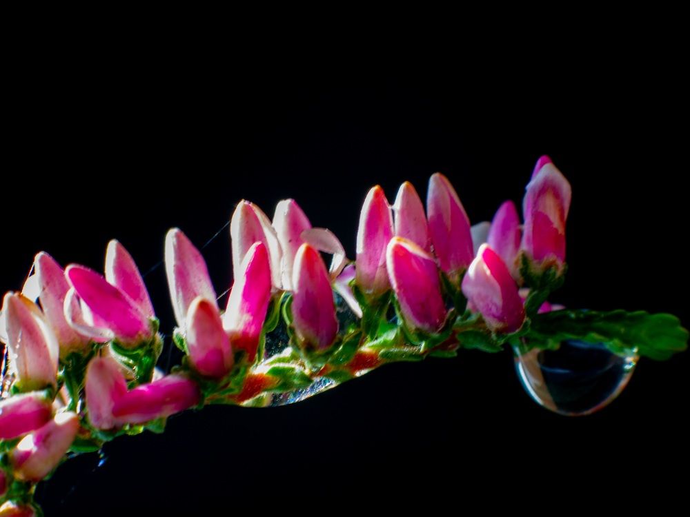 Photograph by Сергей Маркелов