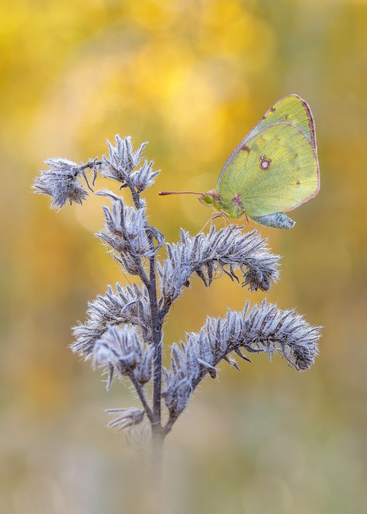 Photograph by Кузнецов Дмитрий