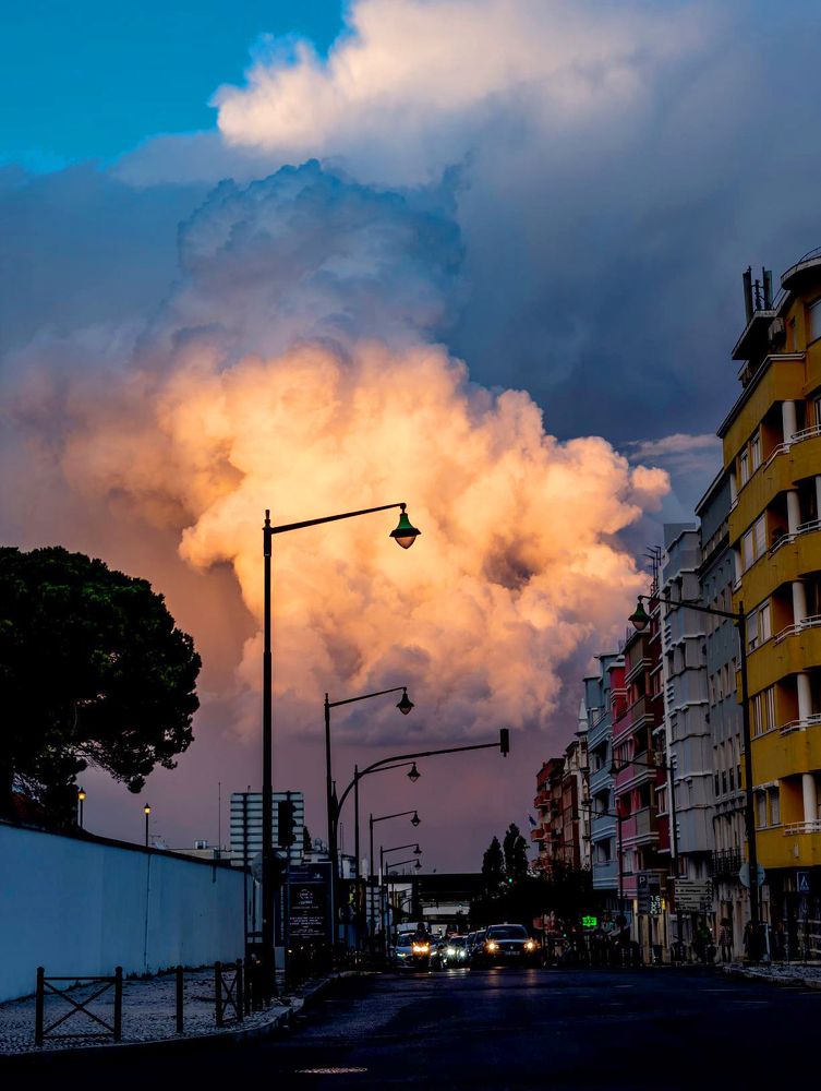 Photograph by Joao Bacelar