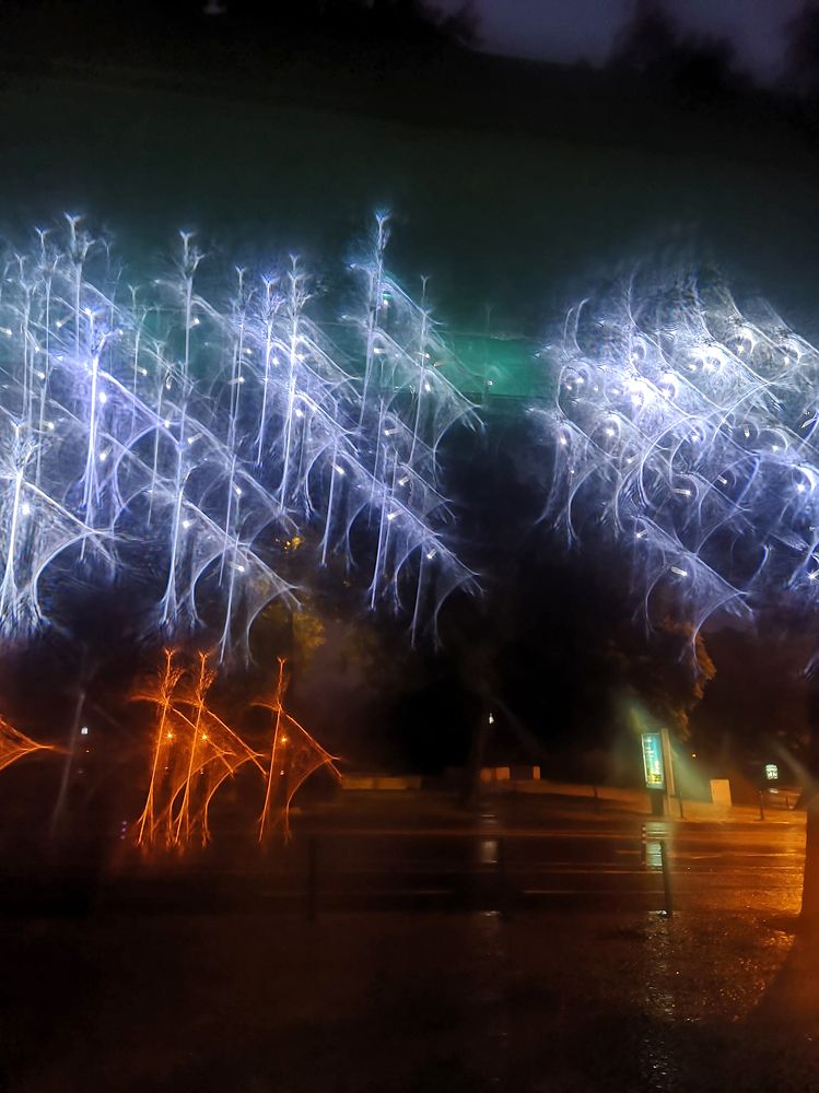 Photograph by Joao Bacelar