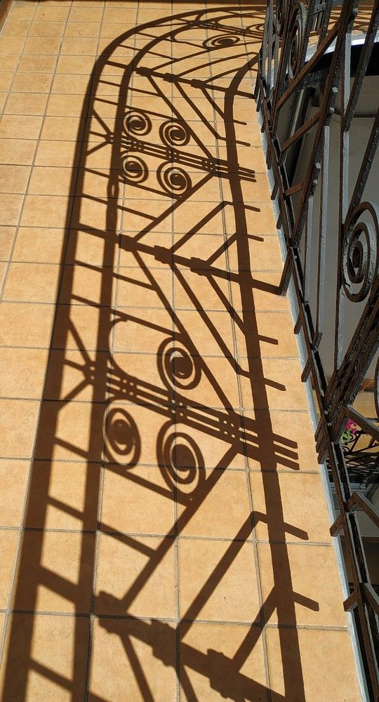 Photograph by Éva Gyubák