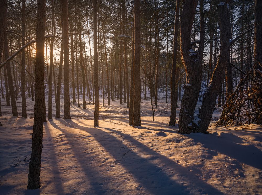 Photograph by Антон Харченко