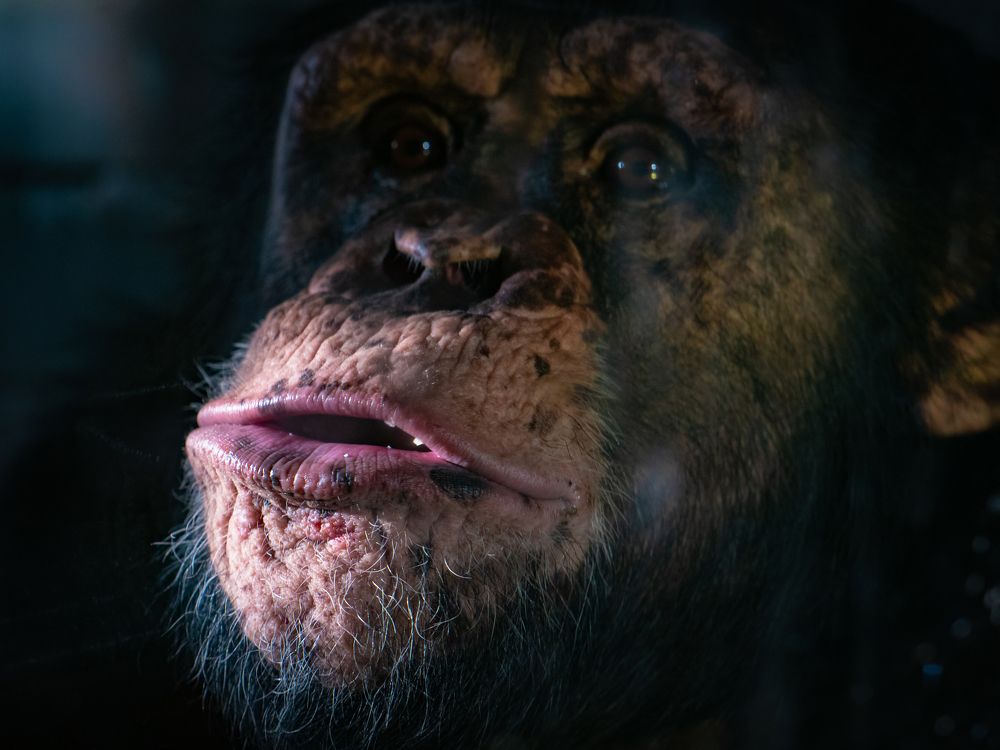 Photograph by Олег Чипура