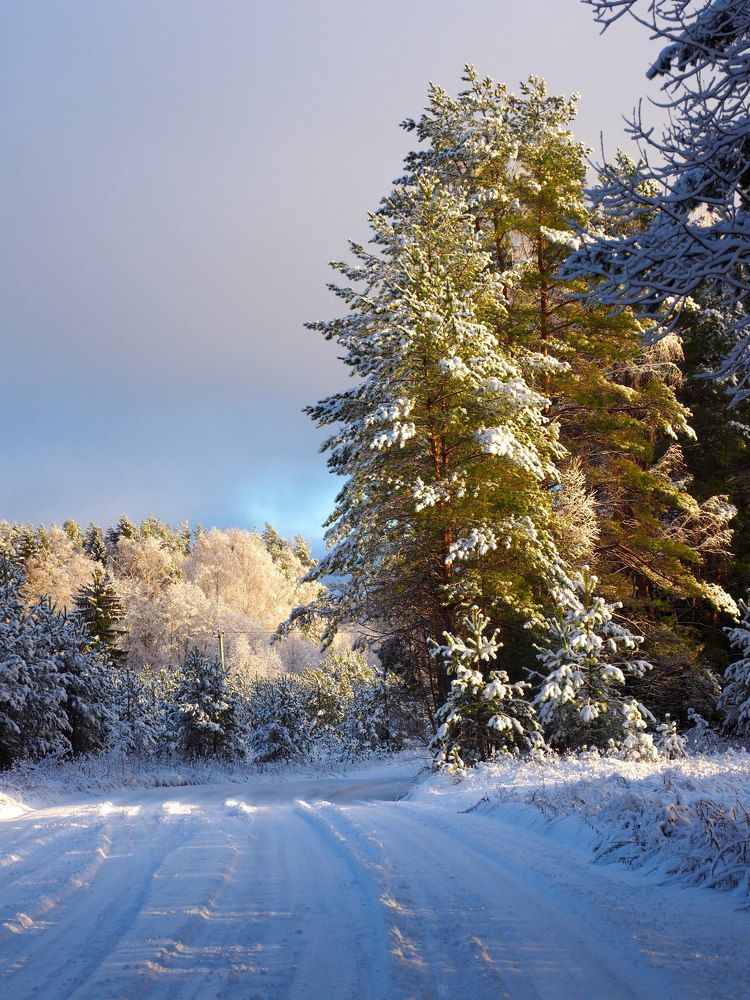 Очарование деревенской зимы.