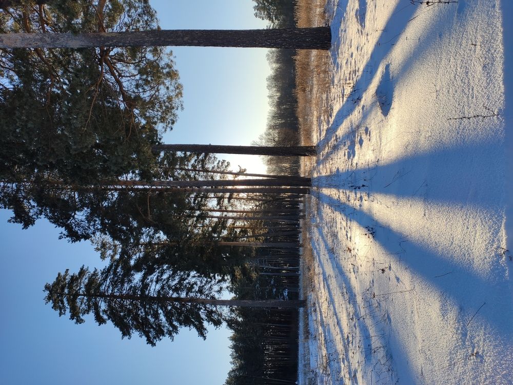 Photograph by Людмила Никитина