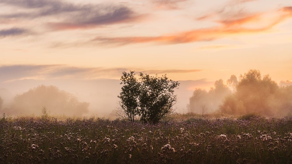 Photograph by Михаил Харитонычев