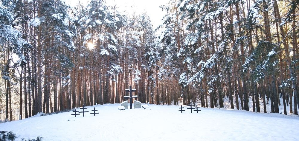 Photograph by Александр Хохлов