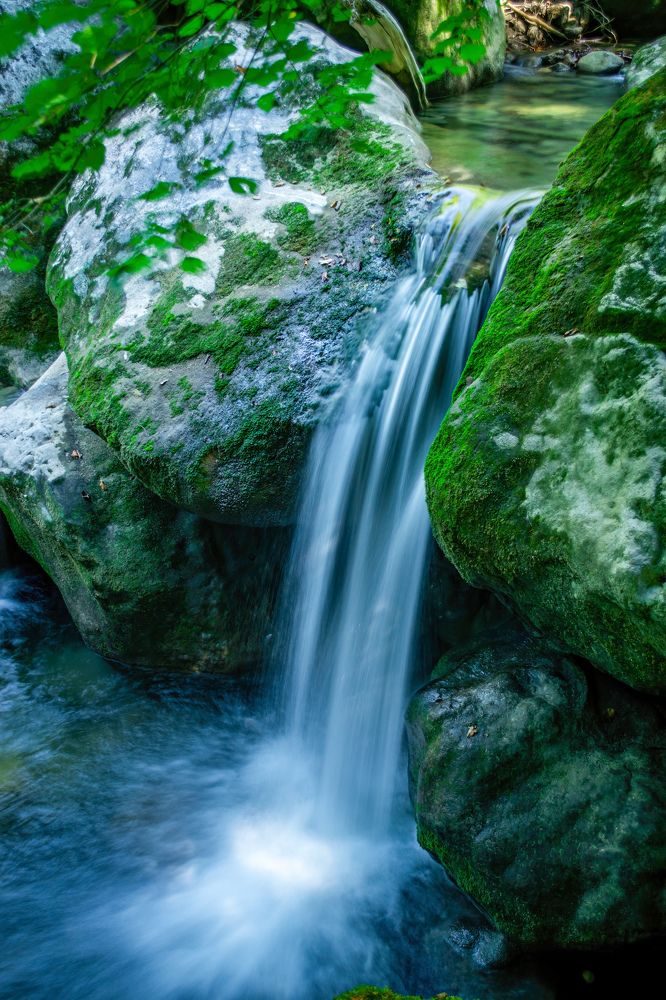 Фотография автора Евгений Петросян
