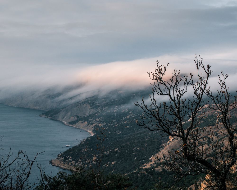 Фотография автора Евгений Петросян