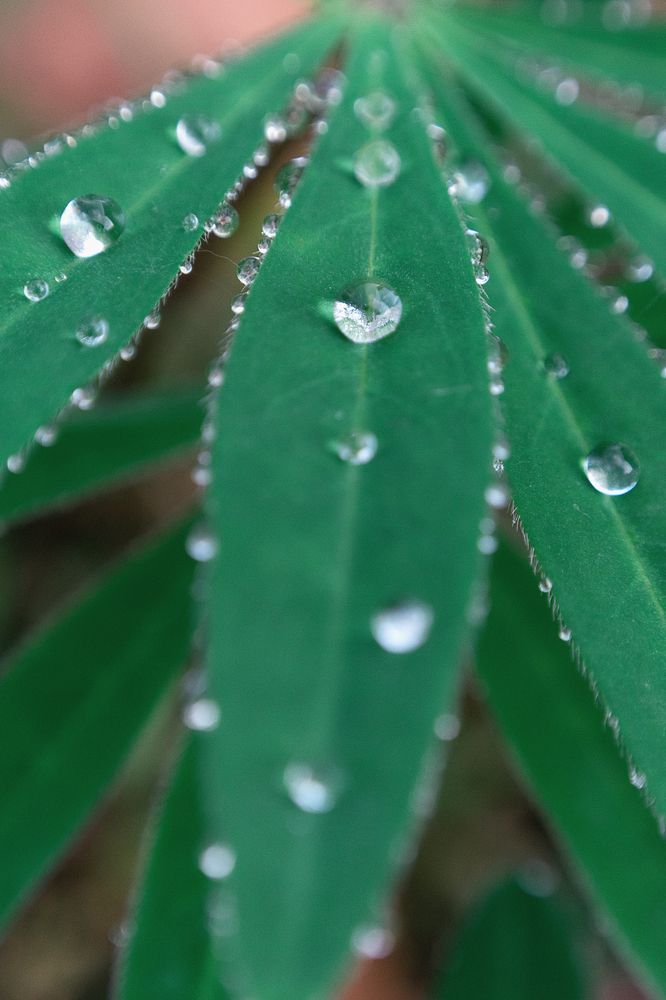 Photograph by Юлия Усенко