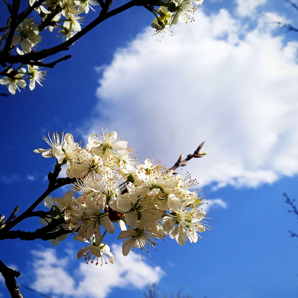 Photograph by Татьяна Зобова