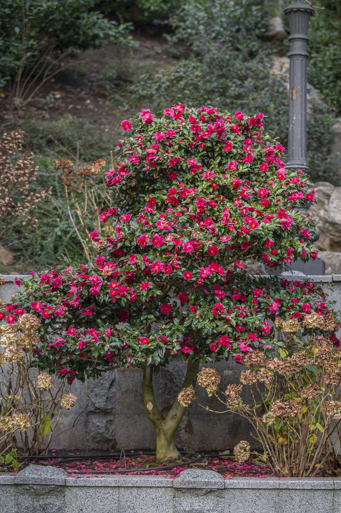 Photograph by Vladimir Soroka