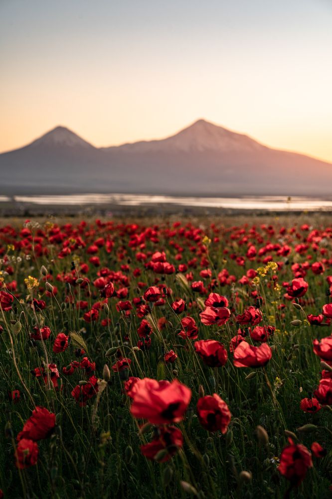 Photograph by Vahan Amatunyan