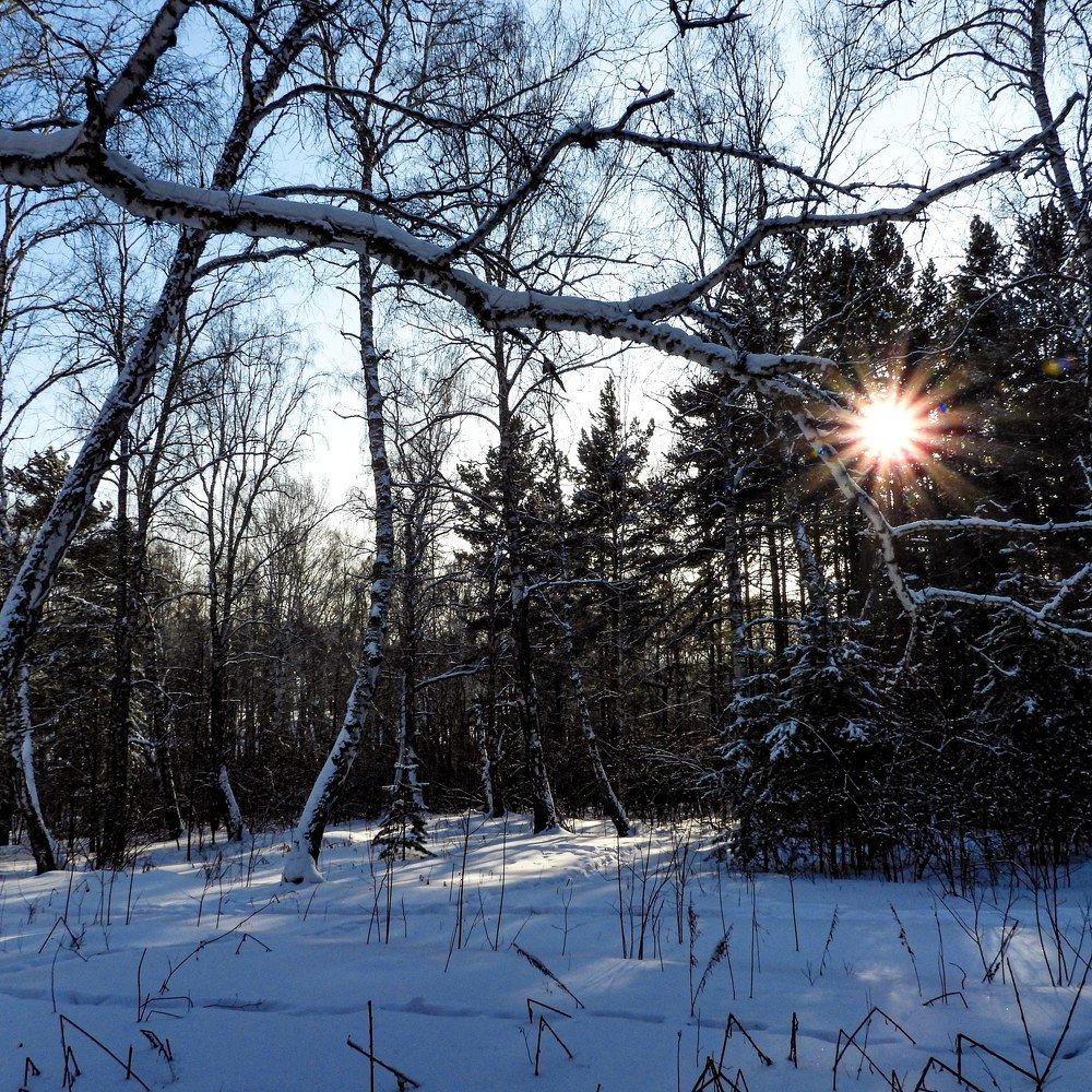 Photograph by Наталья Муравьёва