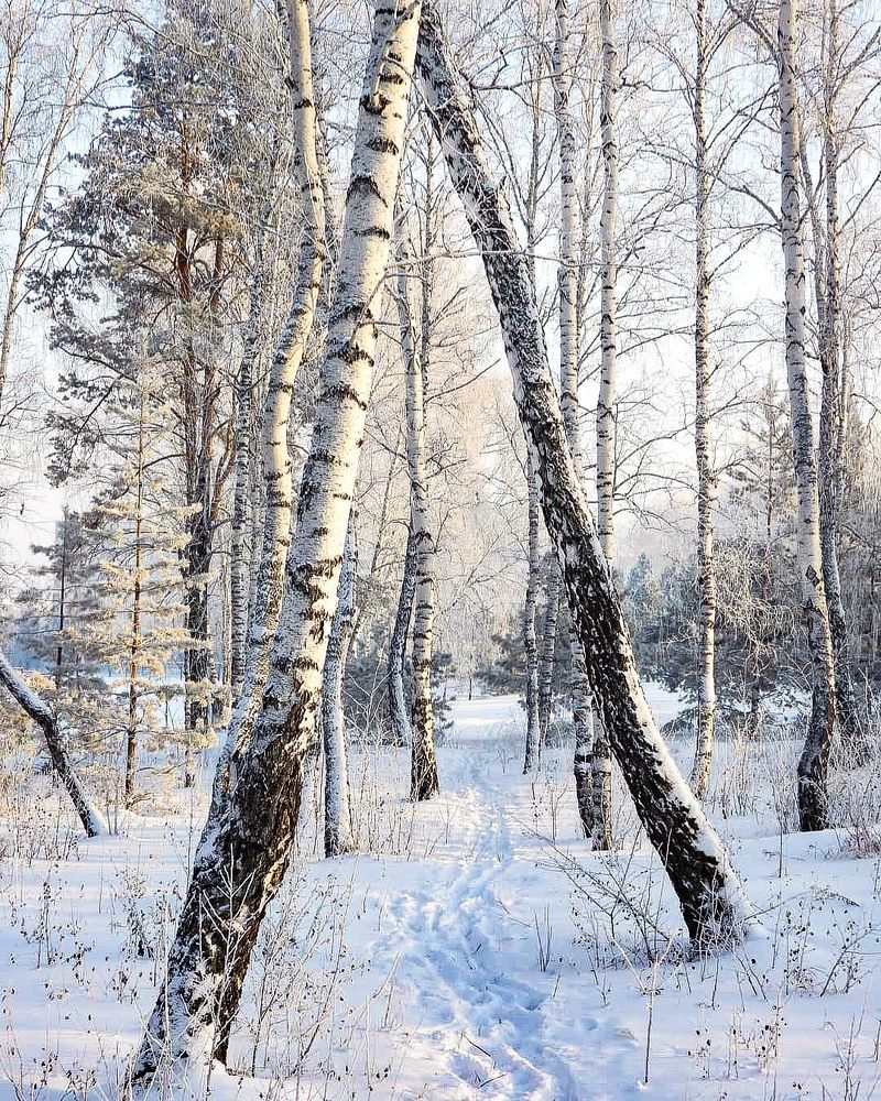 Photograph by Наталья Муравьёва