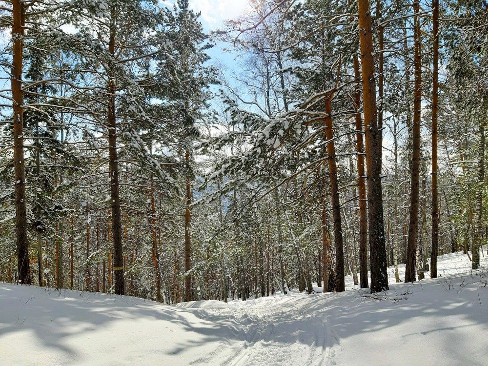 Photograph by Наталья Муравьёва