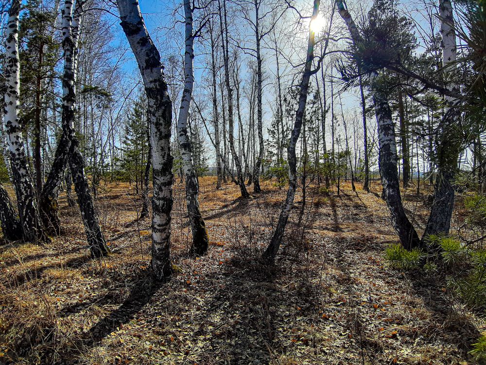 Photograph by Наталья Муравьёва