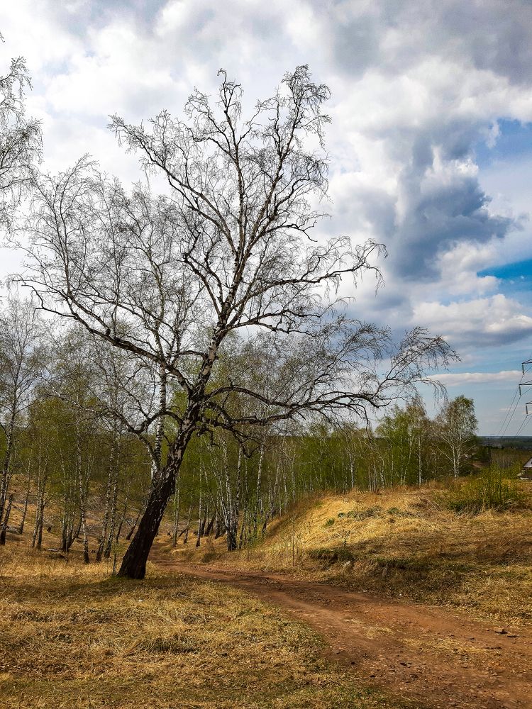 Photograph by Наталья Муравьёва