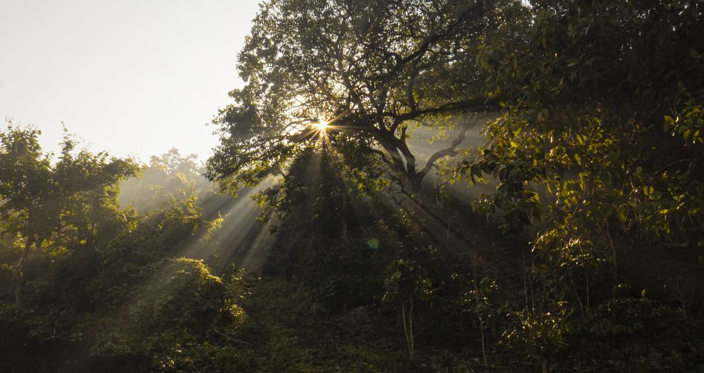 Photograph by uday teja