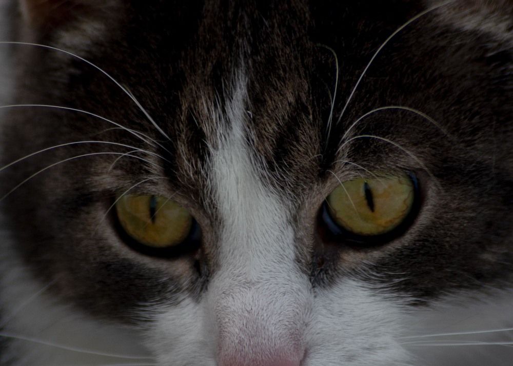 Фотография автора Aлексей Игнатьев