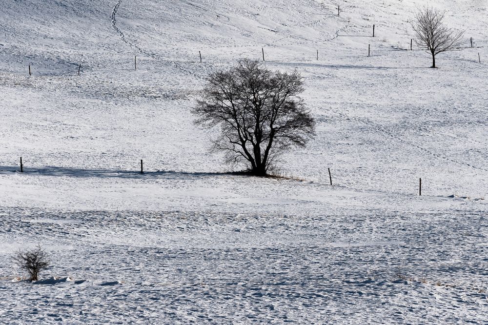 Photograph by Jernej Peljhan