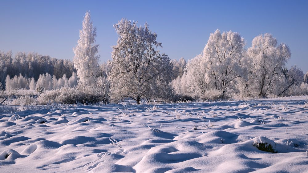 Блещут снега...