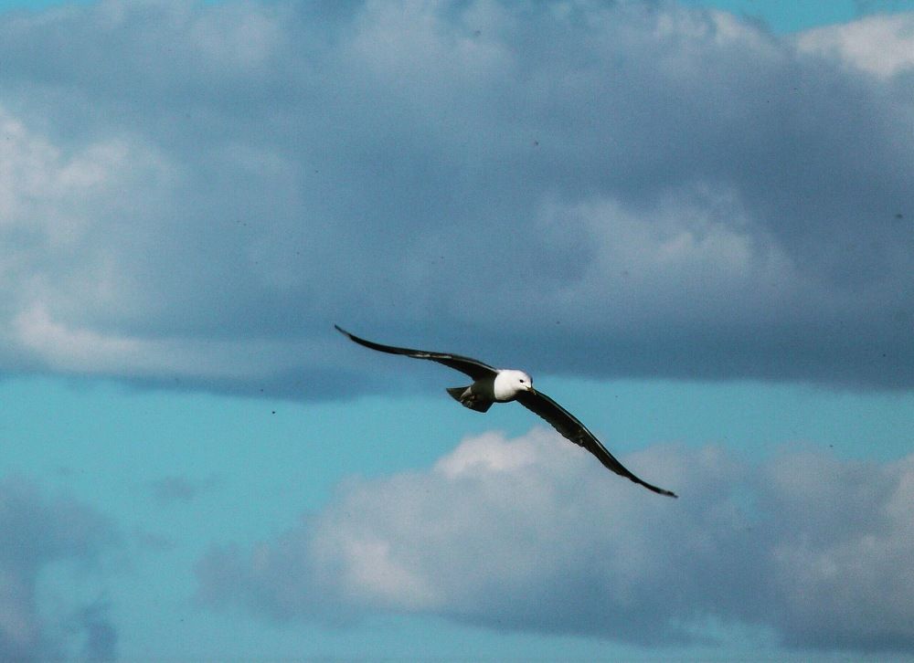 Photograph by Илья Чернышенко