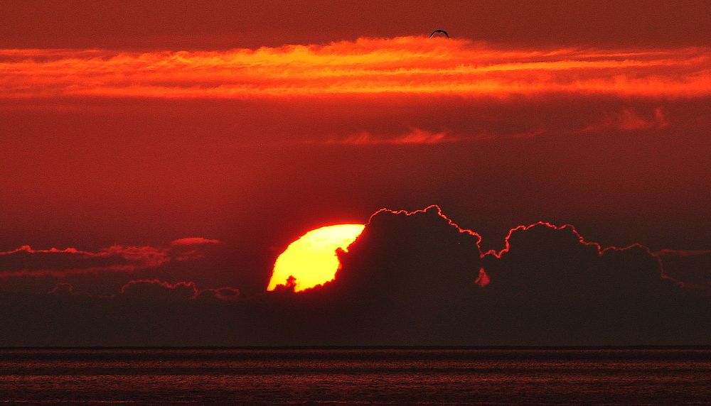 Вечерний полёт.