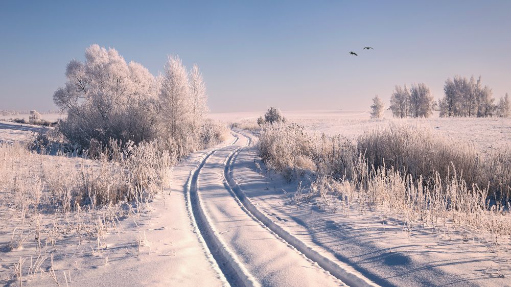 Когда все в белоснежной краске...