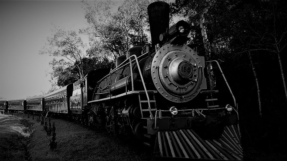 Photograph by Jair Jorge da Silva