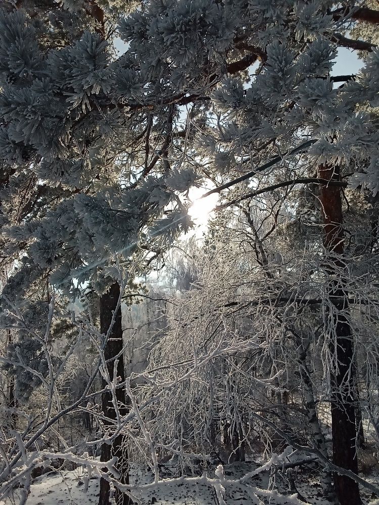 Photo #5578299