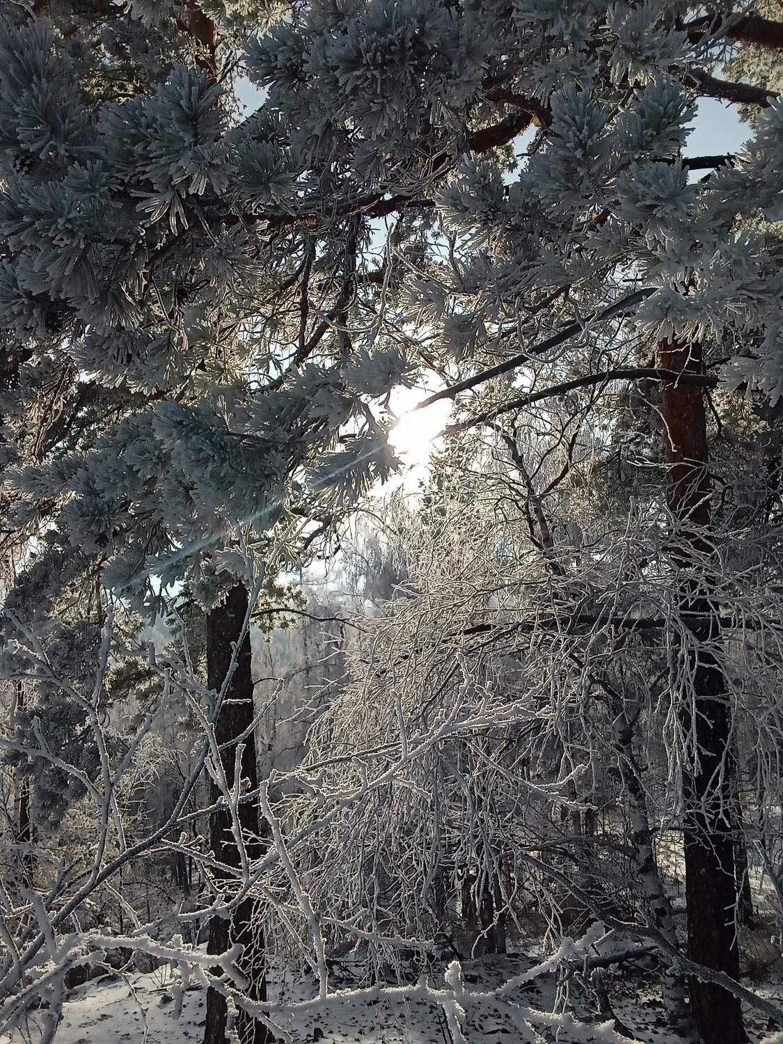 Photo #5578299