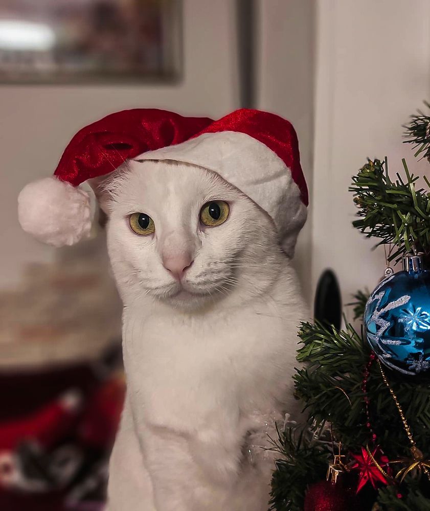 Фотография автора Marina Starovoyt