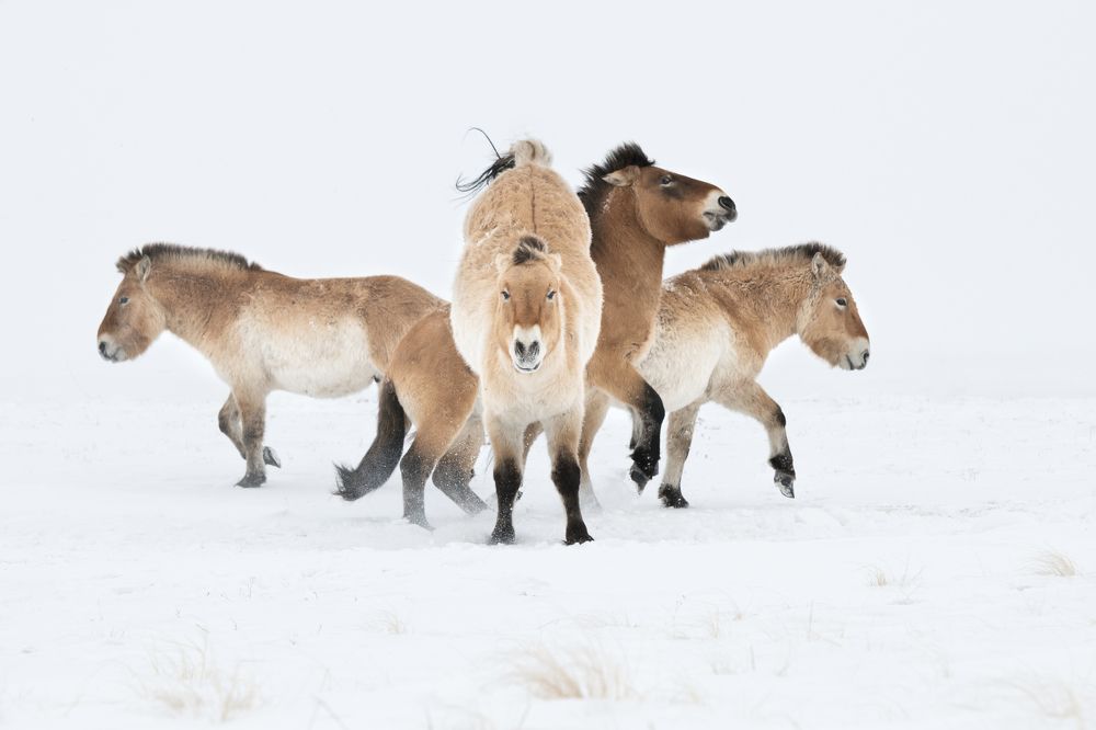 Photograph by Светлана Горбатых