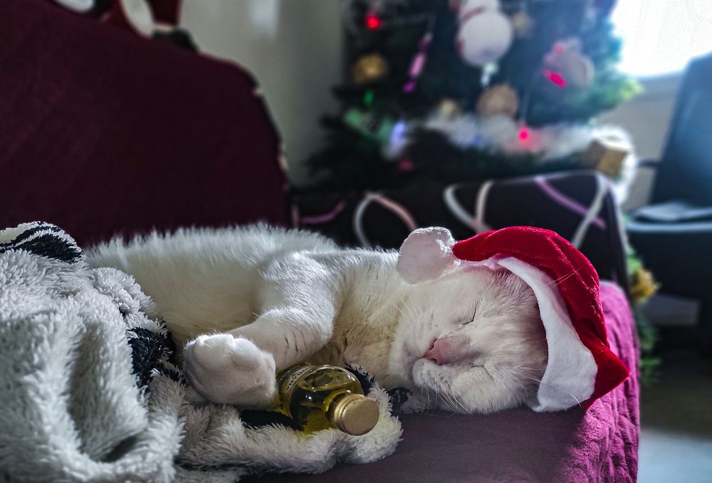 Фотография автора Marina Starovoyt